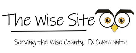The Wise Site